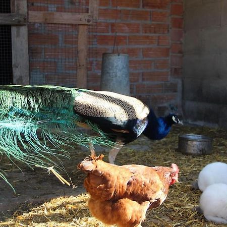 Casa Rural Espasa إسبلوغا ذي فرانكولي المظهر الخارجي الصورة